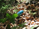 photo thumbnail #12
