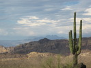 photo thumbnail #1