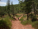 photo thumbnail #6