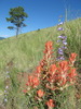 photo thumbnail #3