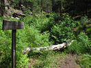 photo thumbnail #5