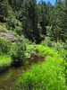 photo thumbnail #10