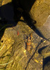 photo thumbnail #11