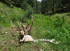 photo thumbnail #9