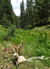 photo thumbnail #10