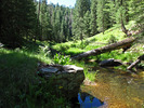 photo thumbnail #9