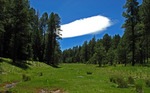 photo thumbnail #11