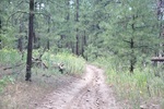 photo thumbnail #2