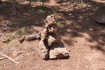 photo thumbnail #3