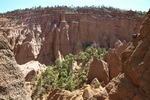 photo thumbnail #3