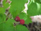 photo thumbnail #5