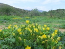 photo thumbnail #6