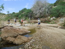 photo thumbnail #7