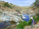 photo thumbnail #12