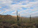 photo thumbnail #8