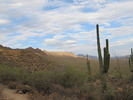 photo thumbnail #9