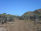 photo thumbnail #1