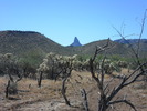 photo thumbnail #2