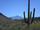 photo thumbnail #5