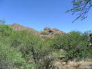 photo thumbnail #9