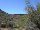photo thumbnail #10