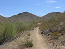 photo thumbnail #1
