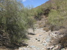 photo thumbnail #3