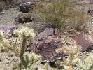 photo thumbnail #5