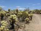 photo thumbnail #7