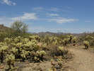 photo thumbnail #8