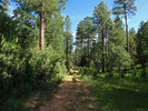 photo thumbnail #4