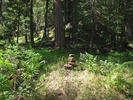 photo thumbnail #10