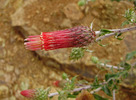 photo thumbnail #11