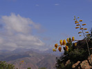 photo thumbnail #14
