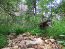 photo thumbnail #2