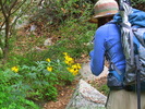 photo thumbnail #3