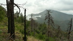photo thumbnail #14