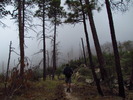 photo thumbnail #9