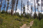 photo thumbnail #5