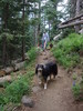 photo thumbnail #3