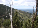photo thumbnail #5
