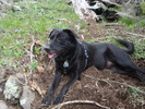 photo thumbnail #6