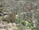photo thumbnail #6
