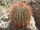 photo thumbnail #11
