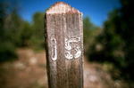 photo thumbnail #1