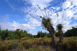 photo thumbnail #5