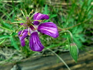 photo thumbnail #5