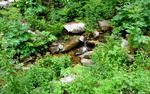 photo thumbnail #13