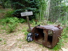 photo thumbnail #14