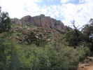 photo thumbnail #6